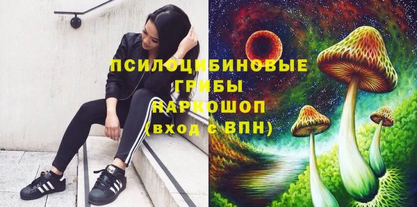 экстази Корсаков